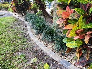 Landscape Borders